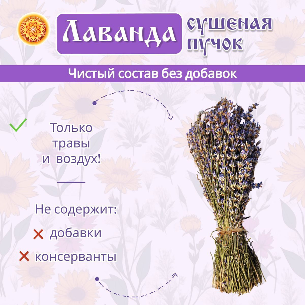 Лаванда пучок.