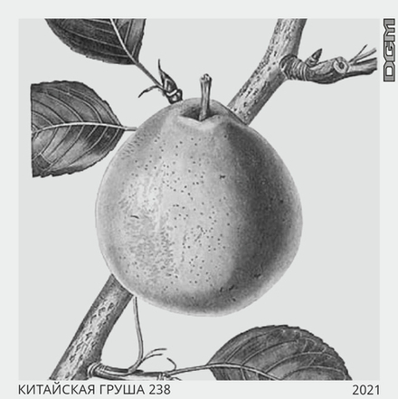 DOGMA - КИТАЙСКАЯ ГРУША 80g
