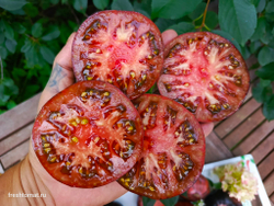 Бифштекс Марши (Marsha’s Starfighter Beefsteak) сорт томата