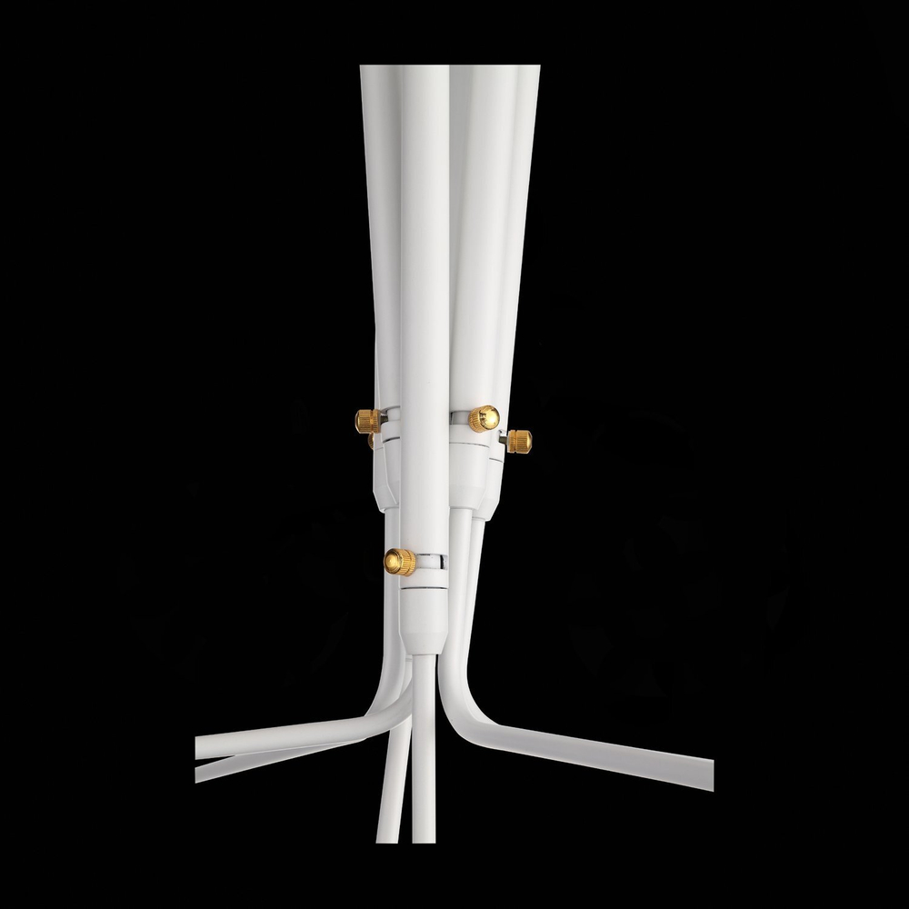 Люстра потолочная ST Luce Spruzzo SL305.502.06