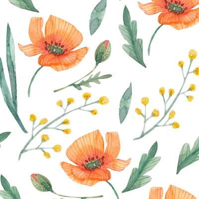 полевые маки