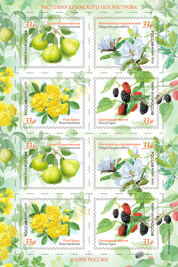 Марка номиналом 33 рубля. Растения Крымского полуострова