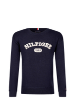 Худые Tommy Hilfiger - темно-синий(KB0KB08509)