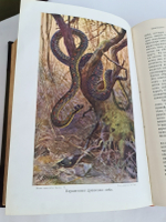 "Жизнь животных (в 7-ми томах)". А.Э. Брэм. 1914г.