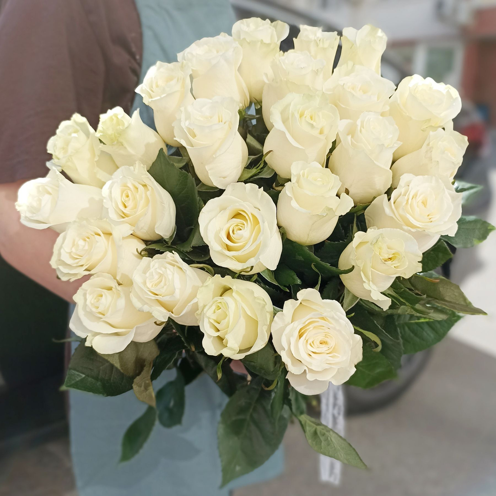 25 белых роз Эквадор 60 см