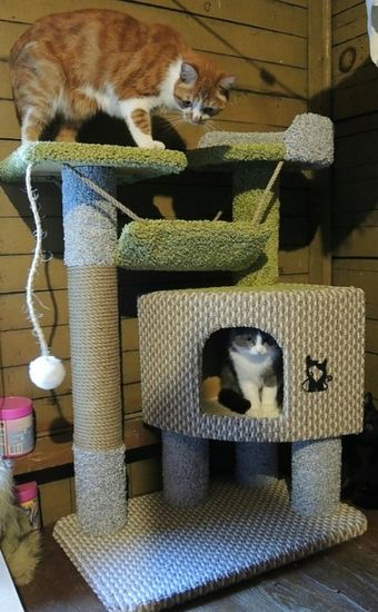 Домик для кота К-126