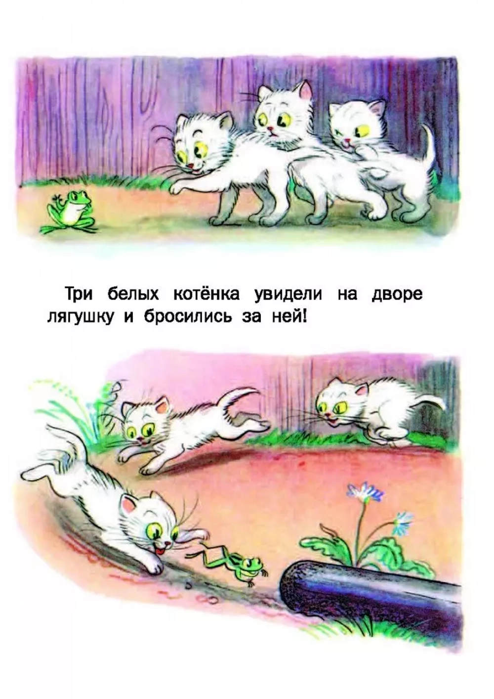 Сказки. Сутеев