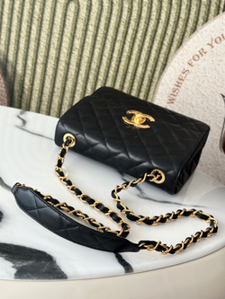 Chanel Bag 25 cm (2 variants)