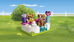 LEGO Friends: Выставка щенков: Салон красоты 41302 — Puppy Pampering — Лего Френдз Друзья Подружки