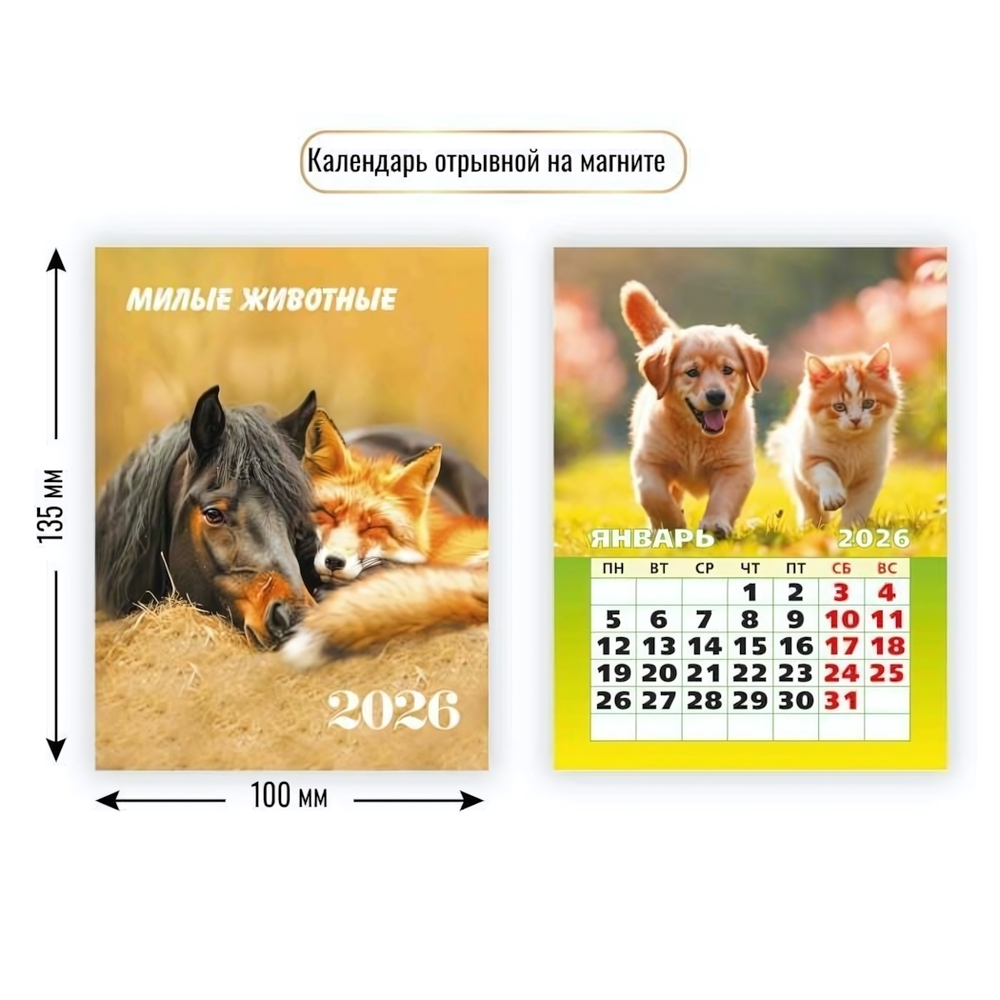 Календарь отрывной на магните 2026 милые животные (Квадра)