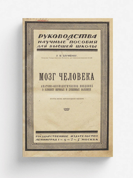 Мозг человека | Блуменау Леонид Васильевич