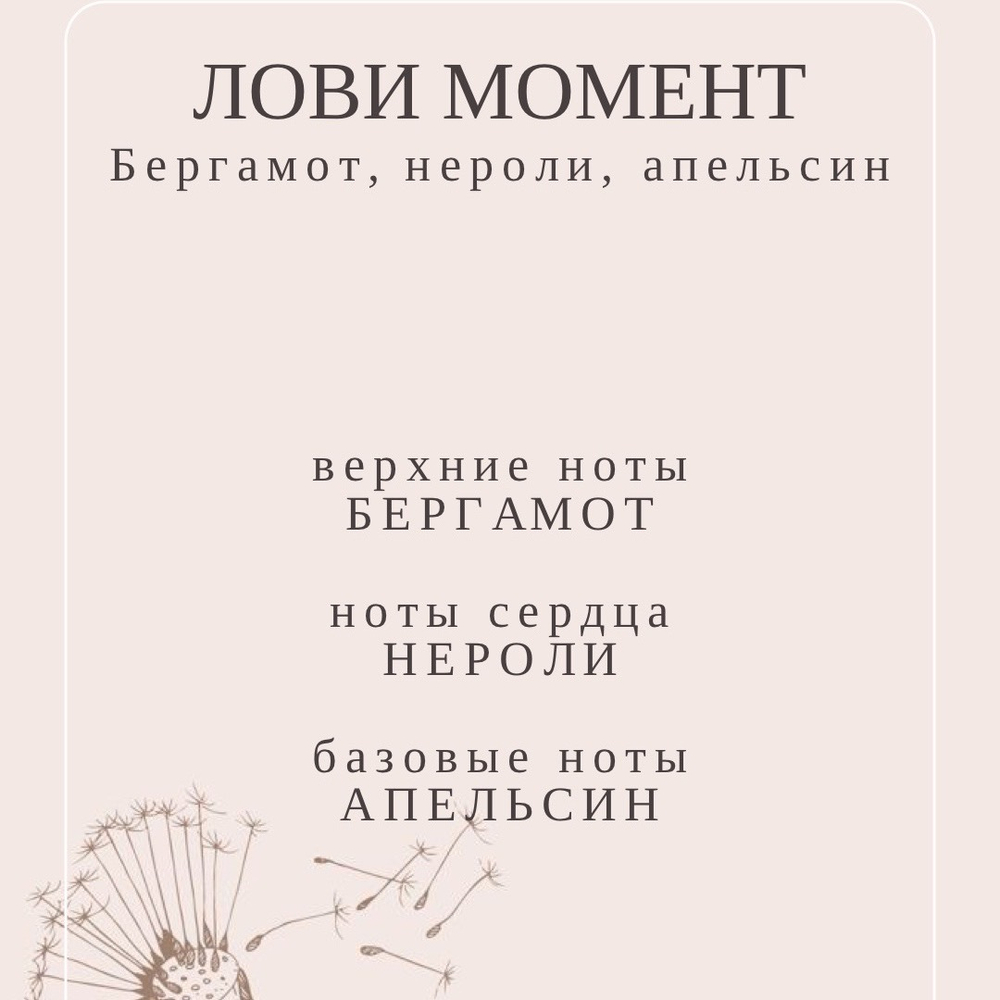 Диффузор ЛОВИ МОМЕНТ