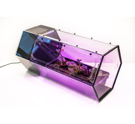 Умная теплица OmegaGrow