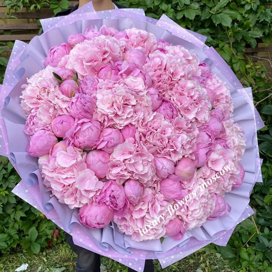 Большой микс гортензий и пионов 45