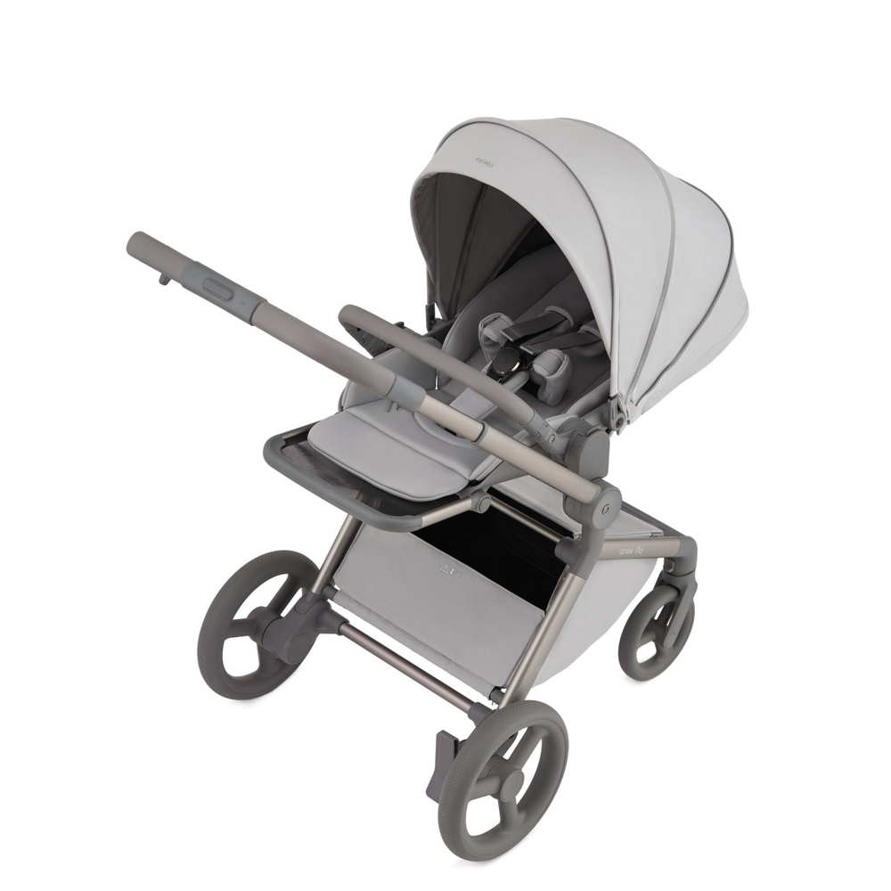 Коляска 2 в 1 ANEX Flo Frossy