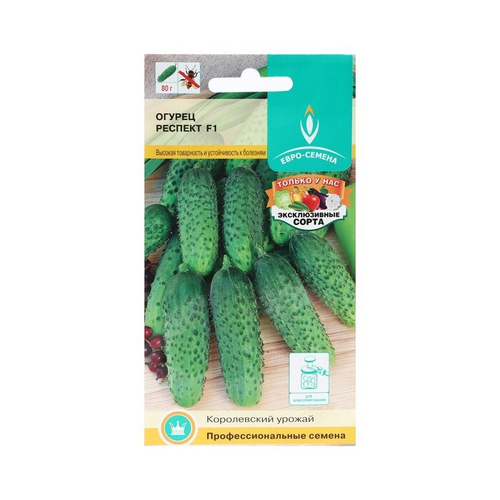 Огурец "Респект", партенокарп. высокая урожайность и устойчивасть к болезням, F1
