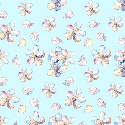 Нежные весенние Цветы яблони. Голубой