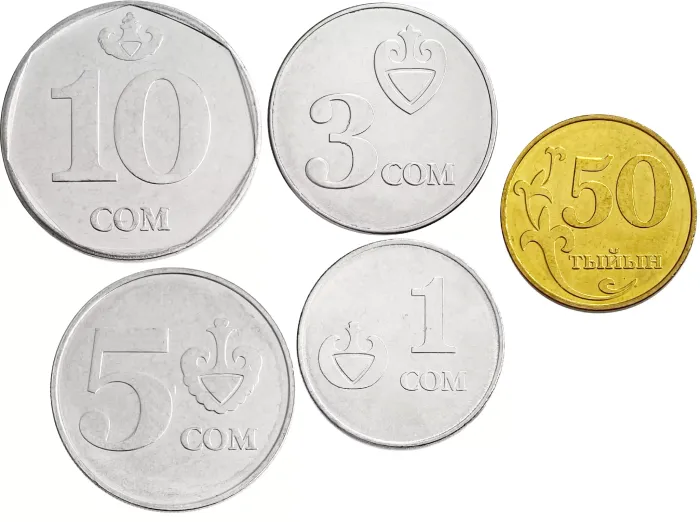 Набор монет Кыргызстана 2008-2009 (5 штук)