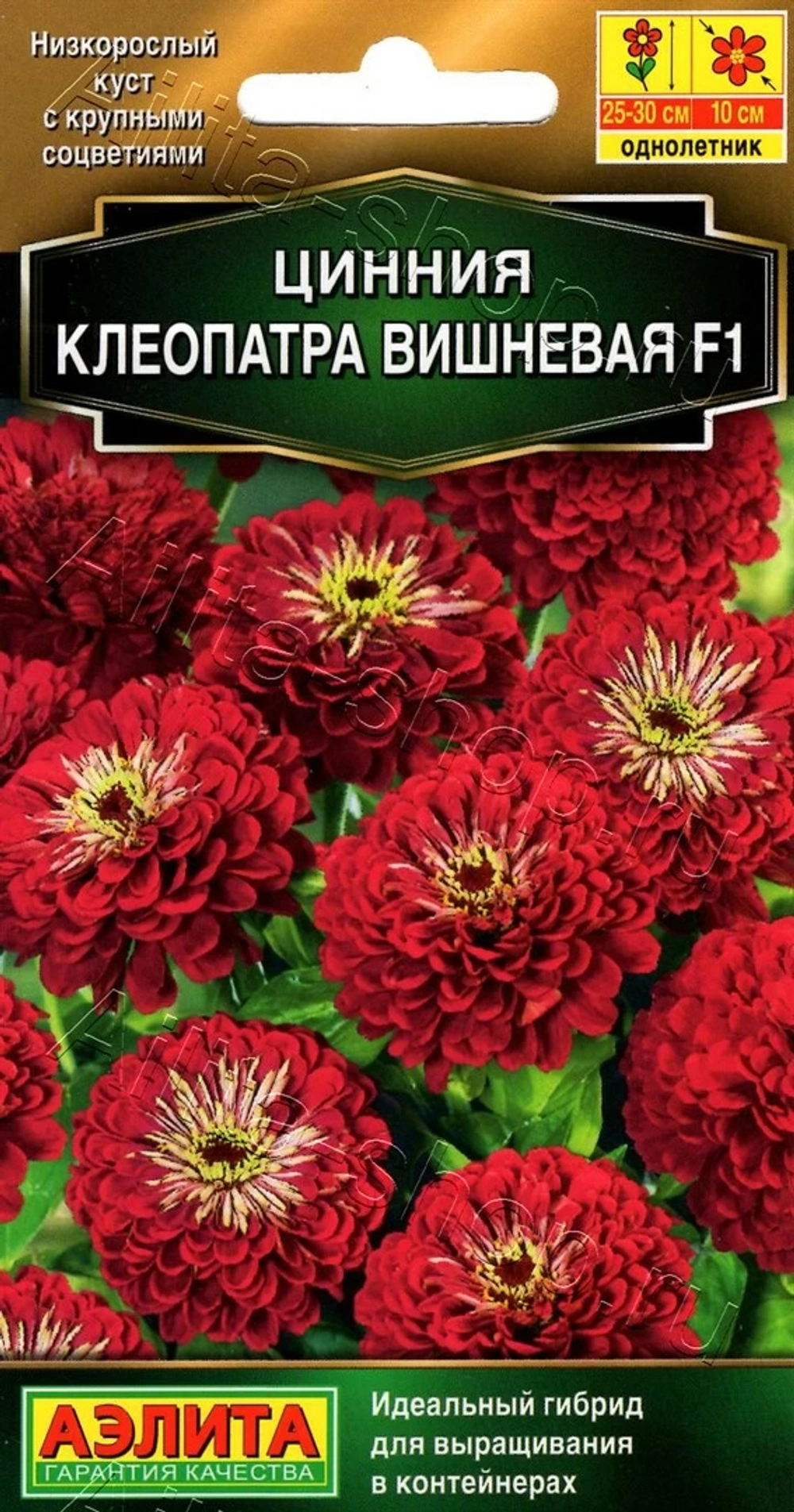 Цинния Клеопатра F1 вишневая 12шт (Аэлита)