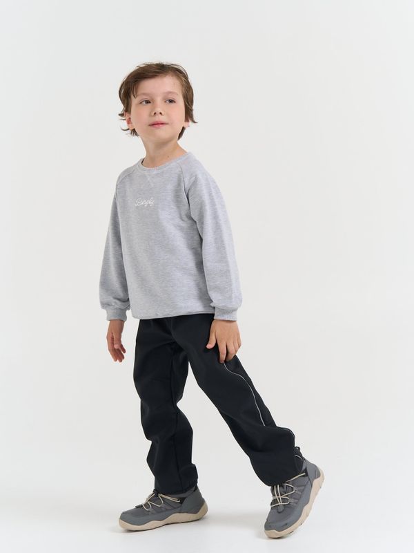 Брюки Softshell демисезонные 