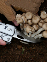 Сменные лезвия Roxon для ножа, комплект BA050607