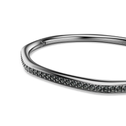 DEXTERA:BANGLE CRY SINI/RUS S