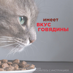 Таблетки против гельминтов Мильбемакс глистогон для кошек до 2кг и котят