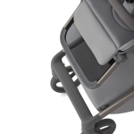 Коляска 2 в 1 ANEX Flo Frossy