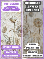 Бежевые фотообои одуванчики цветы и трава