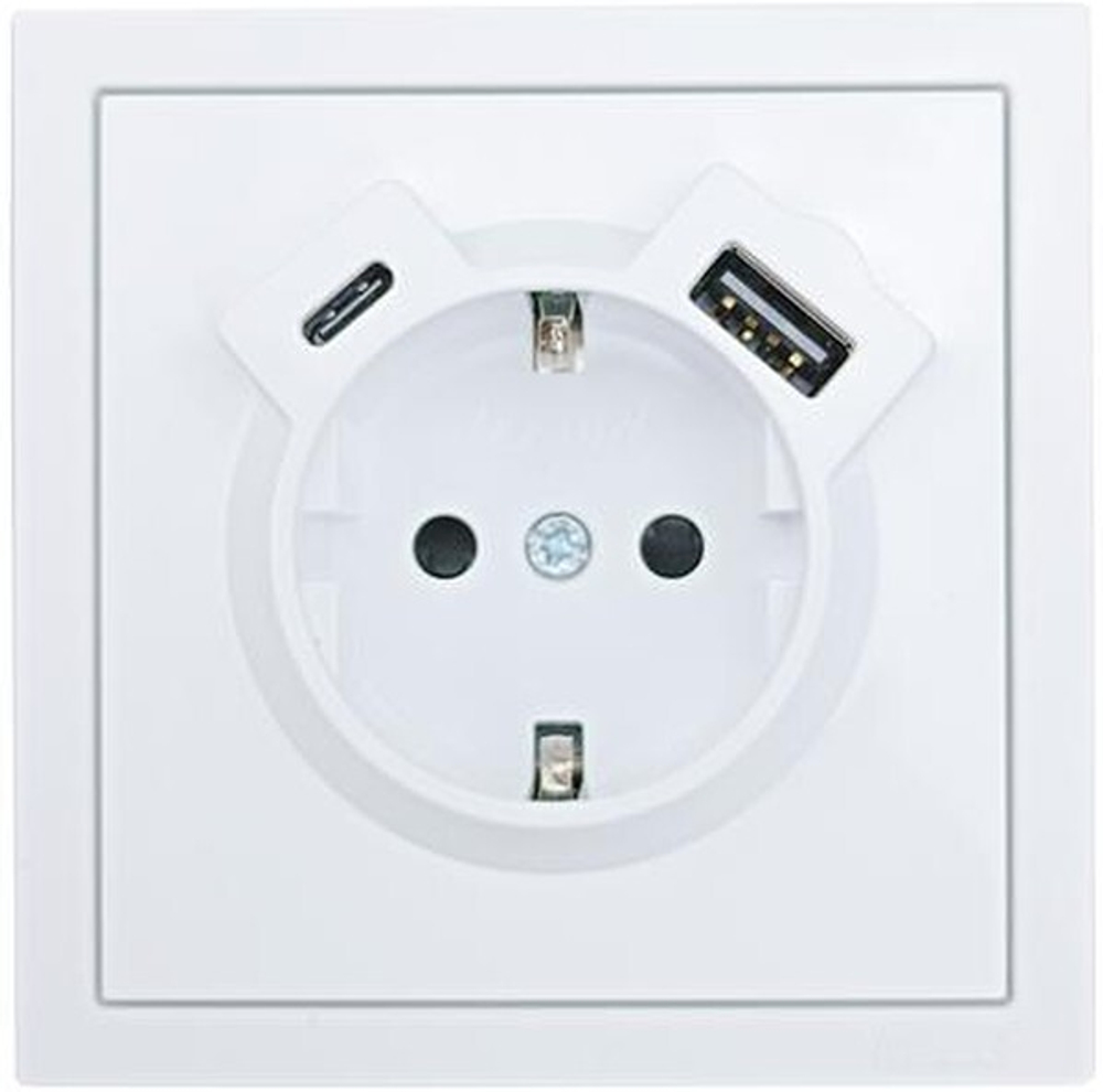 ZIMA Розетка с USB+Type 704-0288-181TC