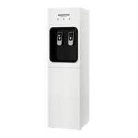 Диспенсер WF-D ECO H PRO с сорбционным фильтром