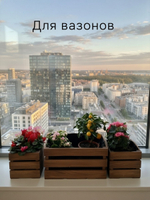 Ящики для хранения, 38х22х19, 19х16х16, для сада, рассады, деревянный, 3 шт.