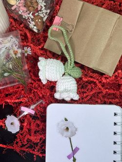 Весенний книжный бокс maxi