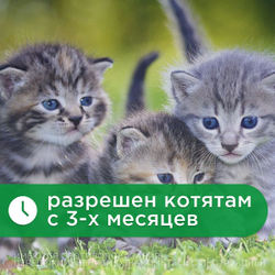 Антигельминтик широкого спектра действия АВЗ Альбен С, 3 таб. для кошек и собак, 1 таблетки/5 кг