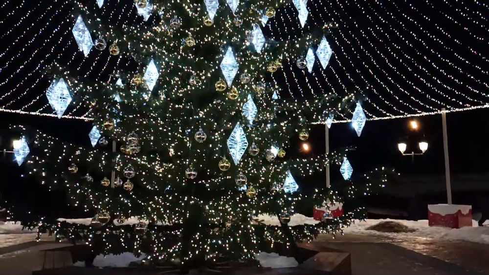 Светодинамическая елка ствольная со скамейкой, встроенная гирлянда: Холодный свет - "Лесная" (Литая хвоя) 14 м