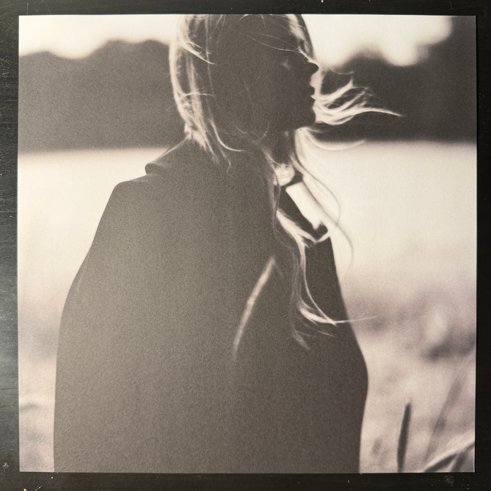 Ilse DeLange ‎– Gravel & Dust (Европа 2019г.)