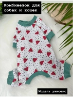 Комбинезон для собак и кошек