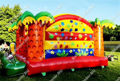 Надувной батут "Лето"