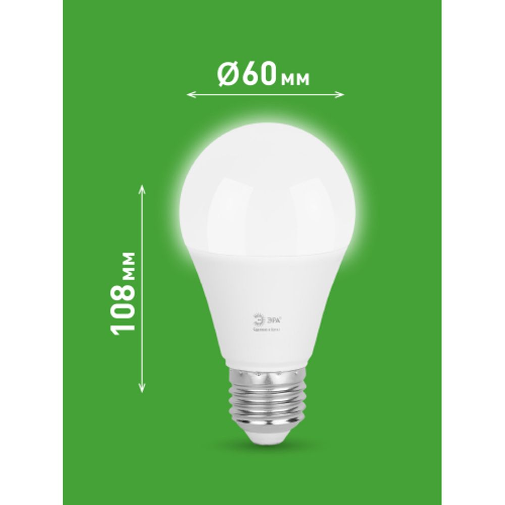Лампа светодиодная ЭРА GREEN LINE LED A60-20W-840-E27 GL 20Вт груша яркий белый свет E27 | Лампы cветодиодные Груша (A)