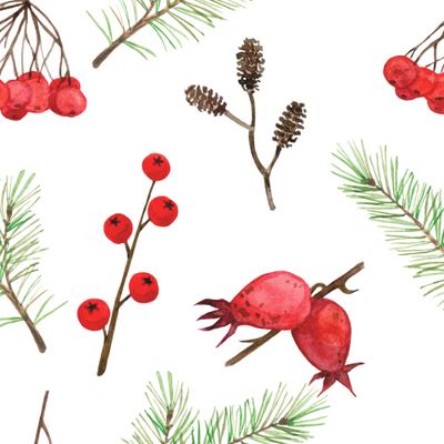 Шиповник и сосна