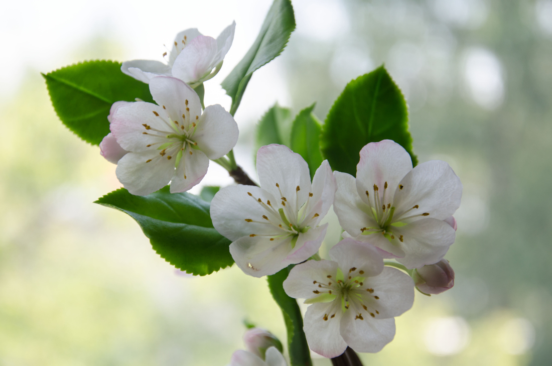 Наши инструменты в работе