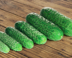 Огурец Лист F1 (50шт) Витагрин Профи