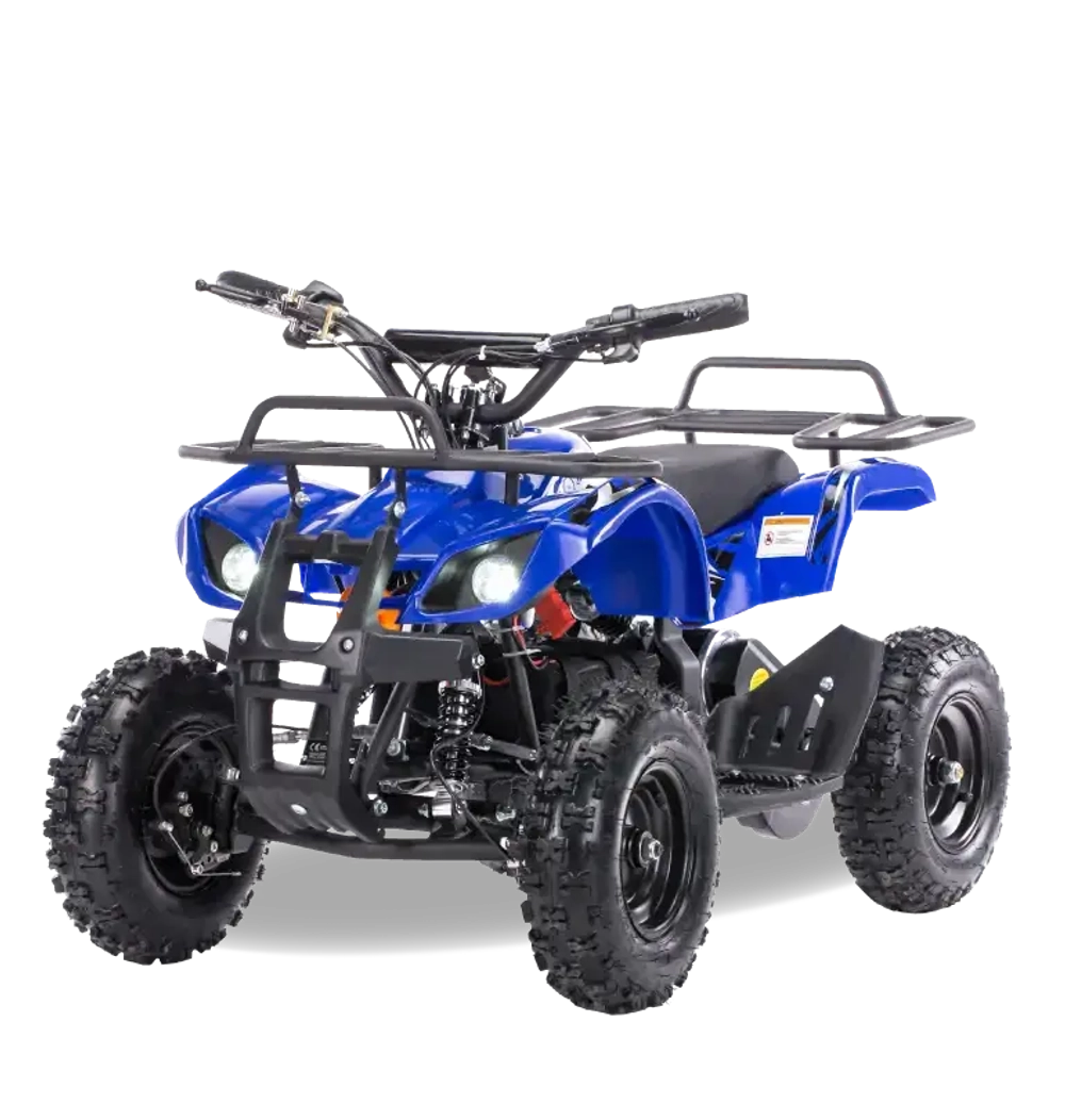 Электроквадроцикл MOTAX Mini Grizlik X-16 1000W New