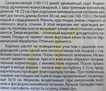 Морковь Чурчхела Белая 0,2 г СММ20