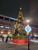 Подиум для Каркасной уличной искусственной елки «Уральская»