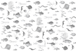 Коллекция Подводный мир