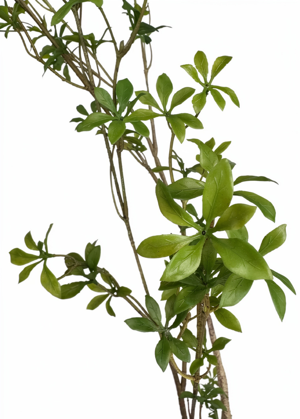 Колокольчик листовой ветвь 180 см без кашпо