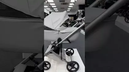 Детская коляска Anex Eli Santal