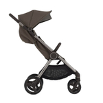 Коляска ANEX IQ Bruna (2в1+багги)