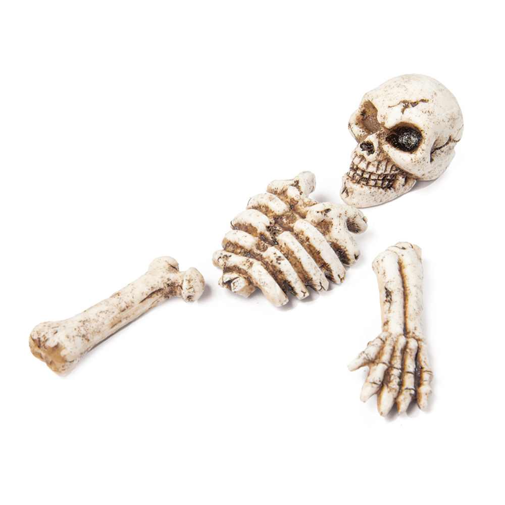 Грот "Череп и кости", 40*12*8мм/36*32*13мм/34*22*23мм/45*15*5мм, (набор 4шт), Laguna AQUA